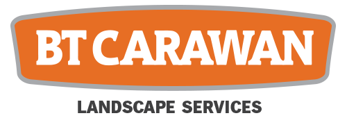 BT Carawan