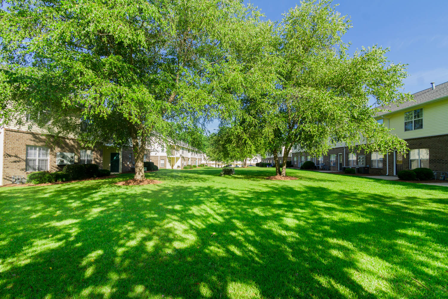 Green lawn and mature shade trees in a landscaped courtyard